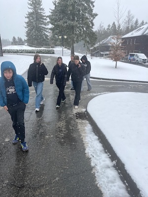 WhatsApp Image 2026-03-31 at 11.11.19